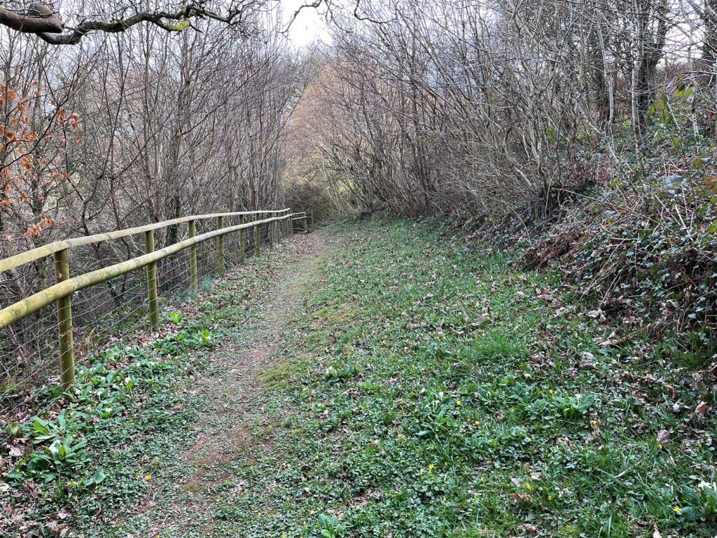 Country Path to Meadow.jpg