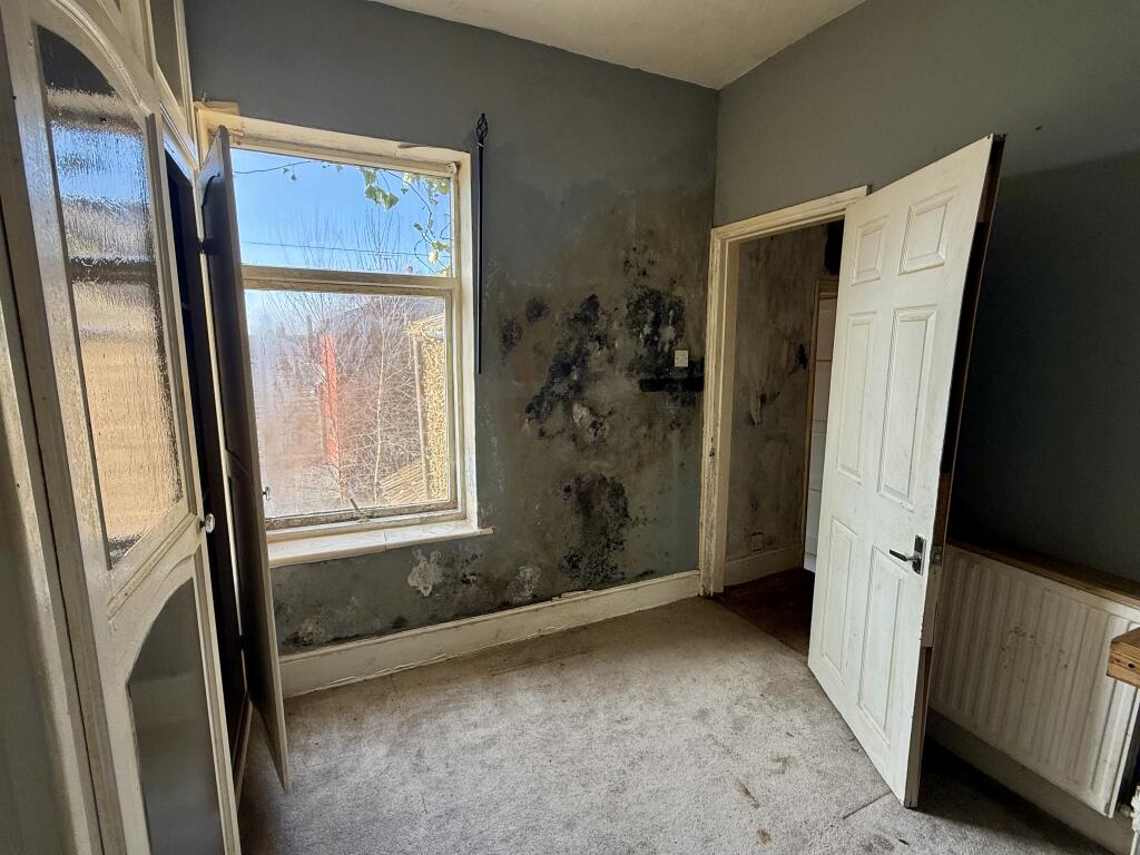 IMG 0191 T202503191835.jpeg