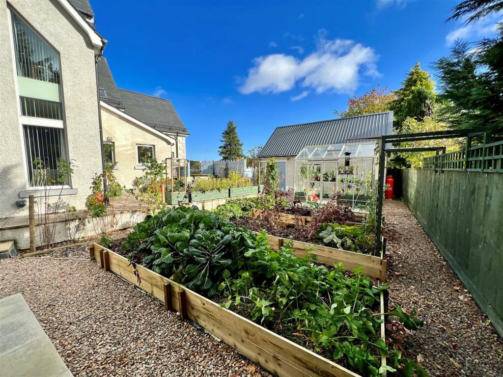 garden 5.jpg