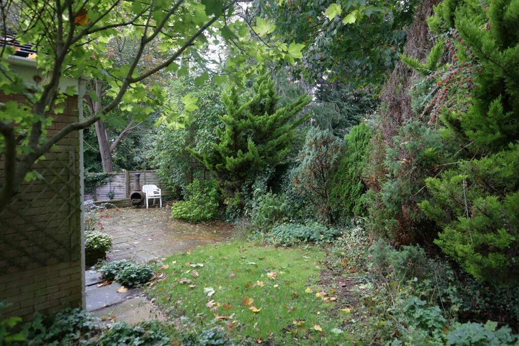 Side garden 