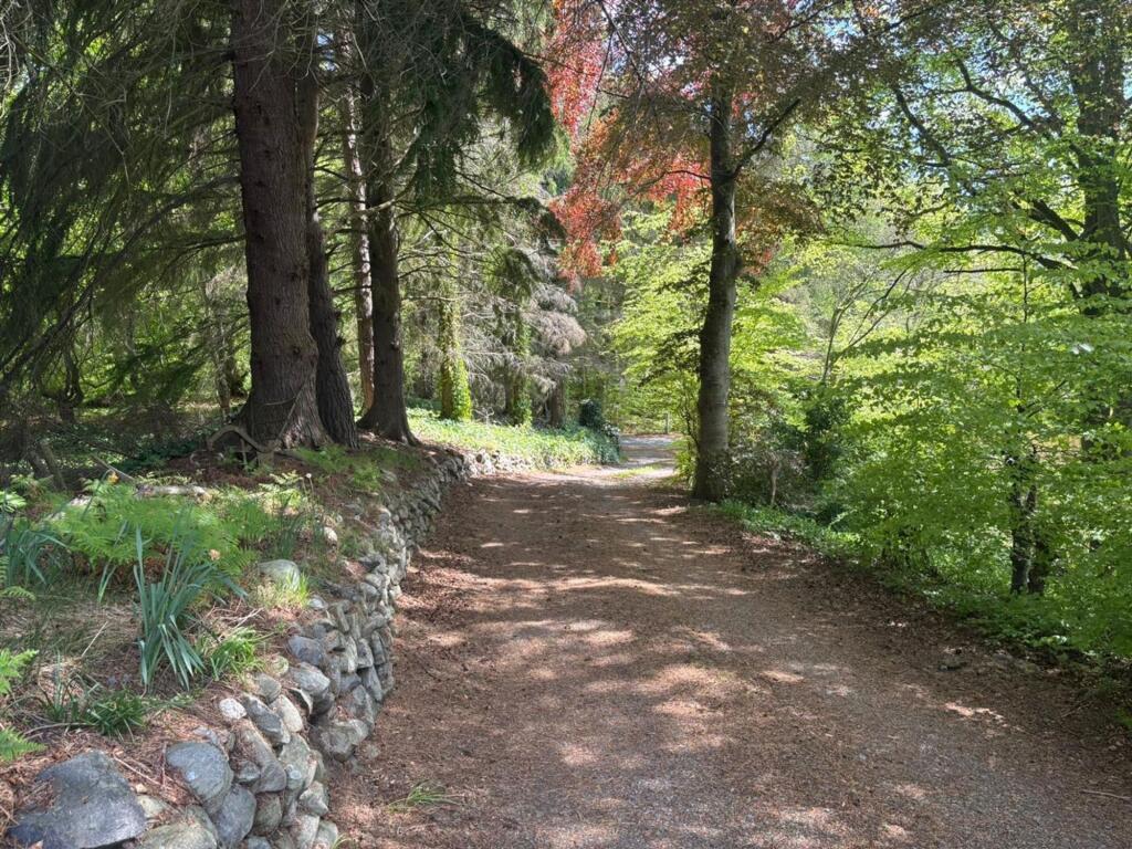 thumbnail_image4 (3).jpg