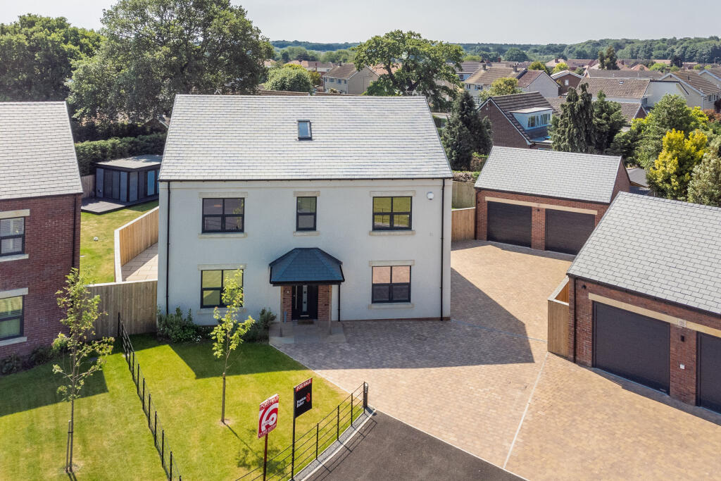 DJI_0312