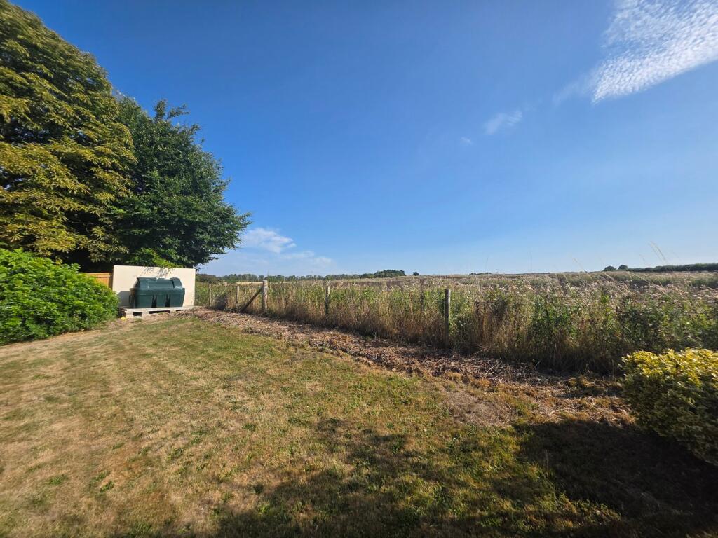 Rear garden