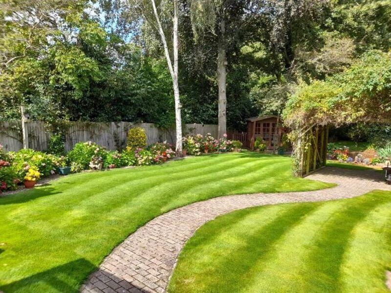Summer garden 