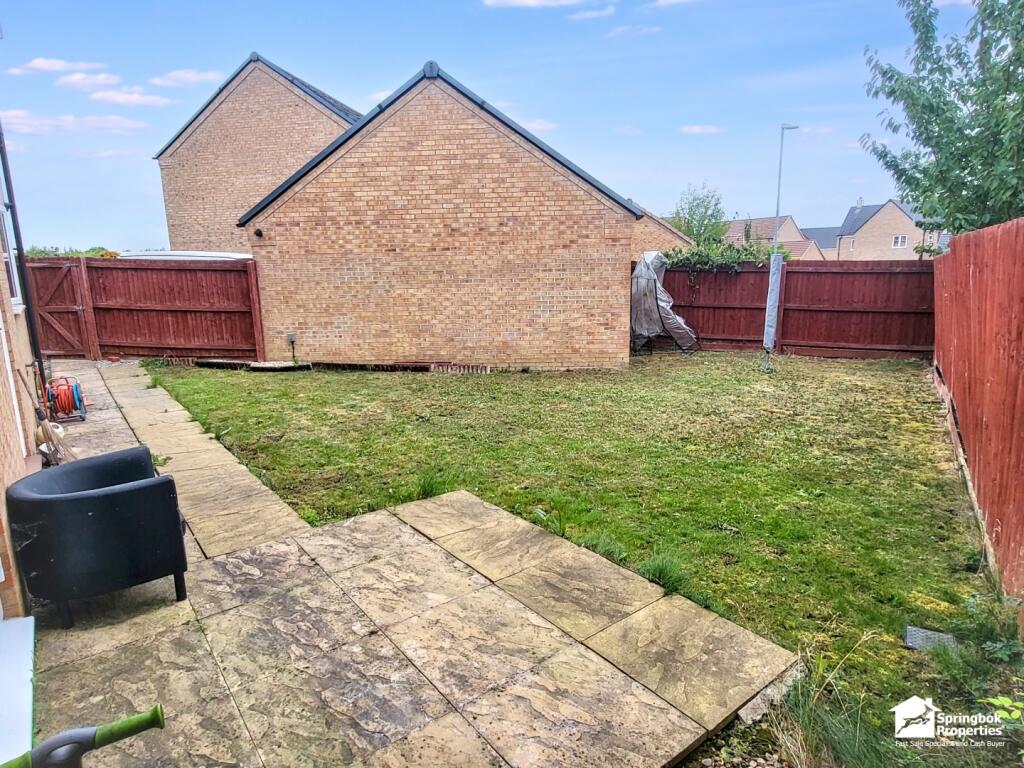 IMAGE 14