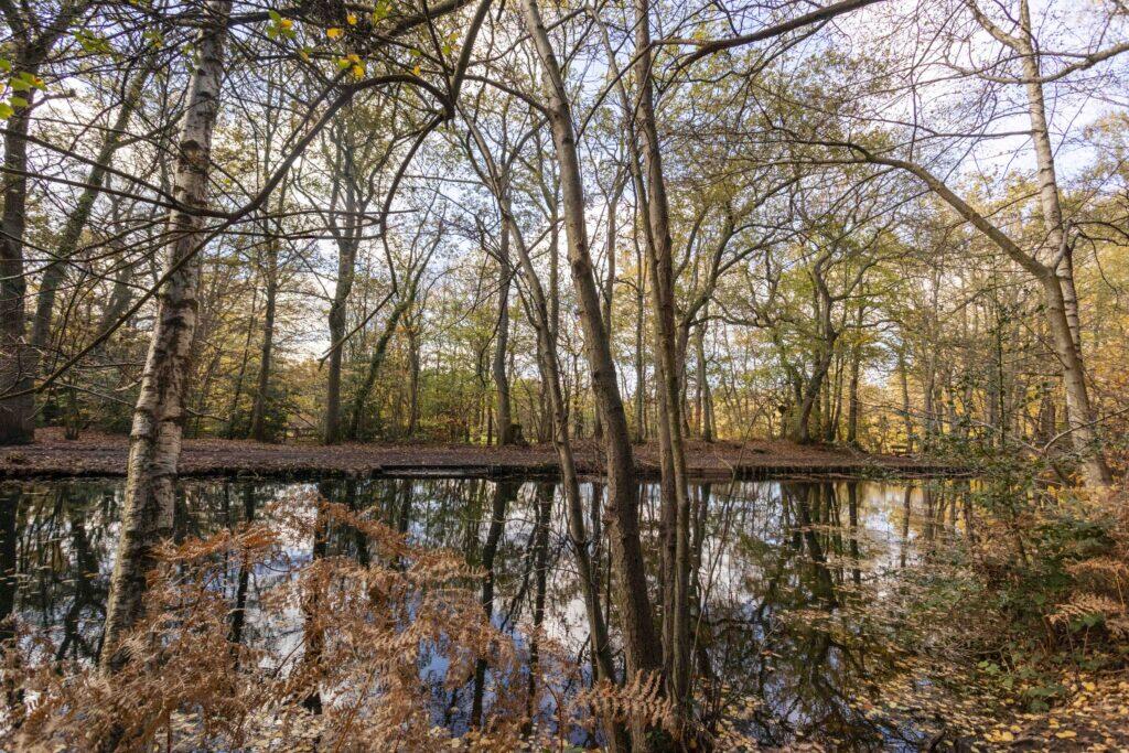 Plot 10 Potters Pool, Surrey, GU16 6PA