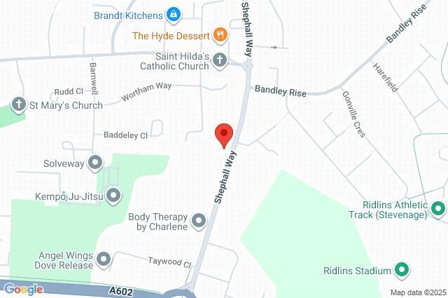 Google Maps Image
