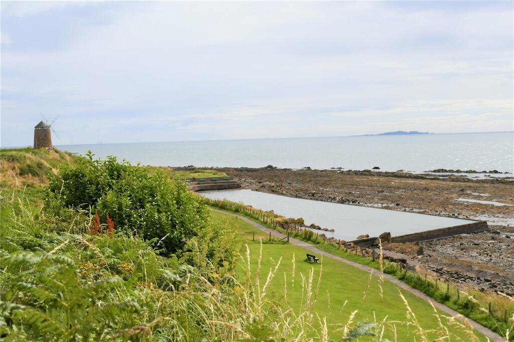 Tidal Pool