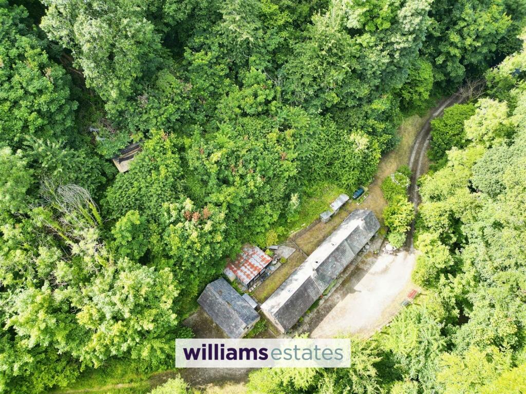 Aerial Shot