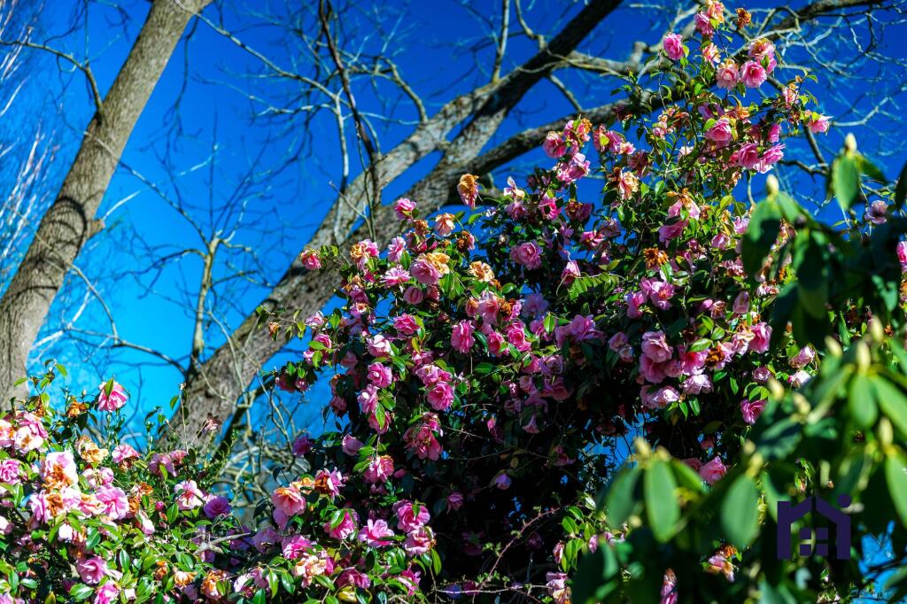 Lots of colour