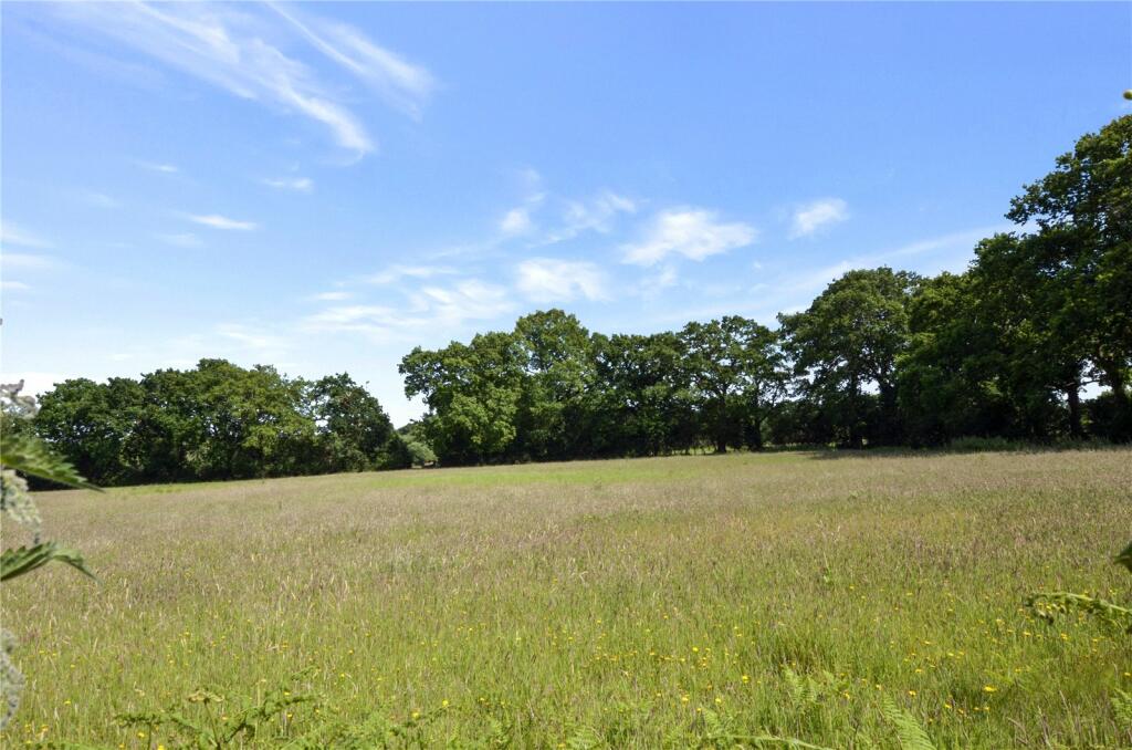 Field At The Rear