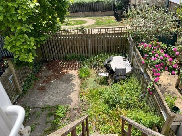 garden.jpg