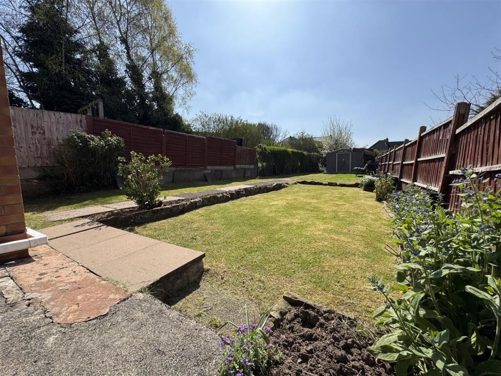 IMG_0433 (Large).JPG