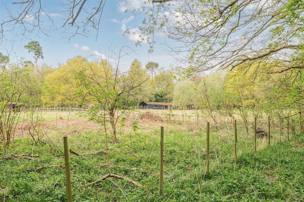 Field