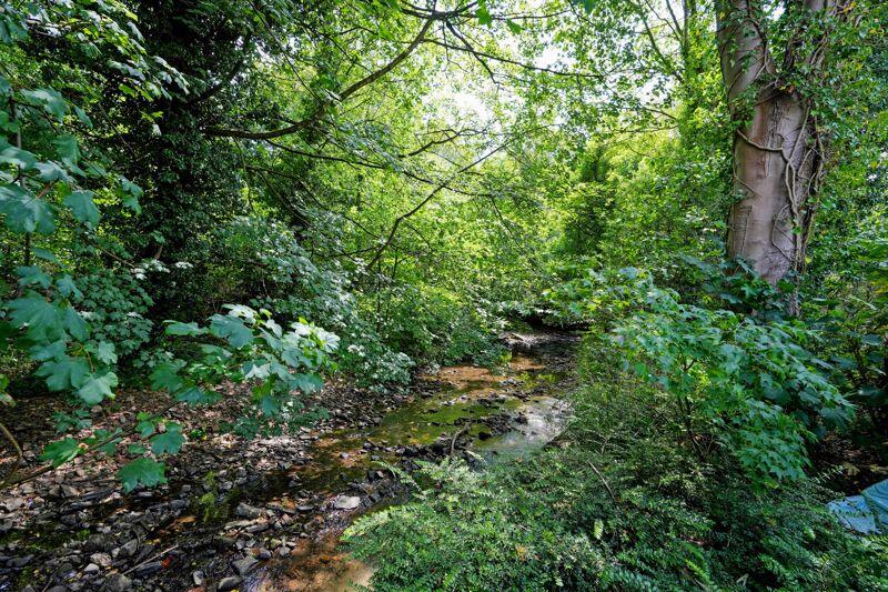Stream at back of house