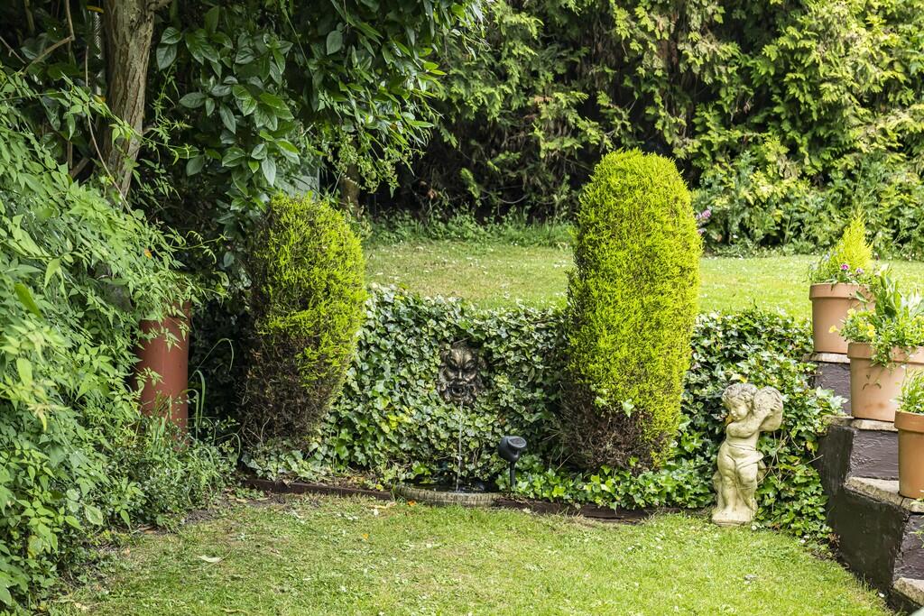 Garden (6)