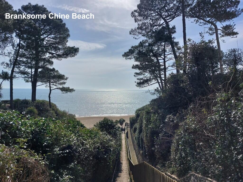 Branksome Chine