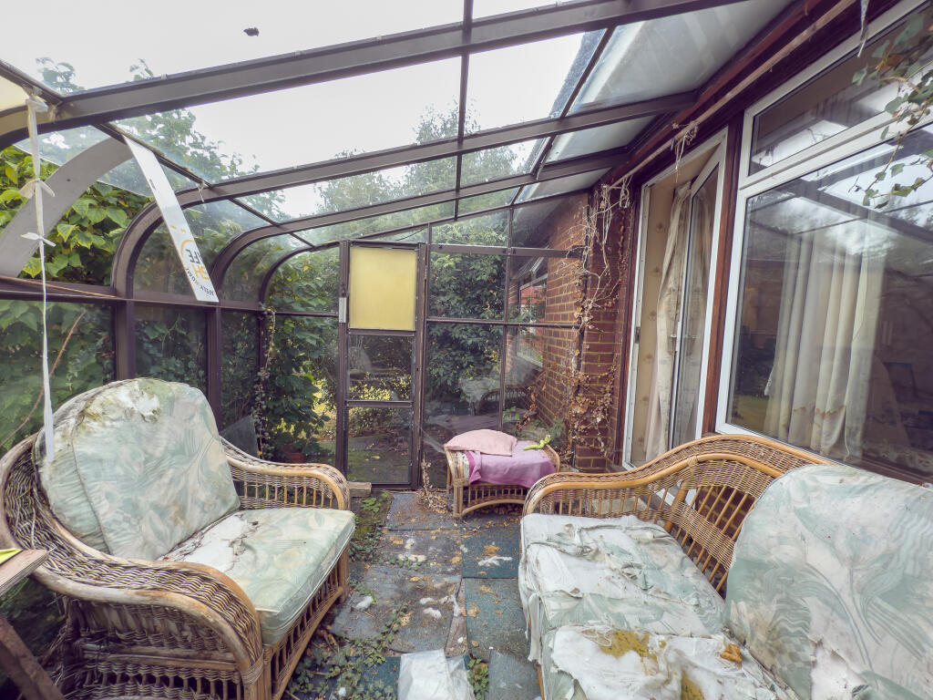 IMG 4131 T202509171429.jpg