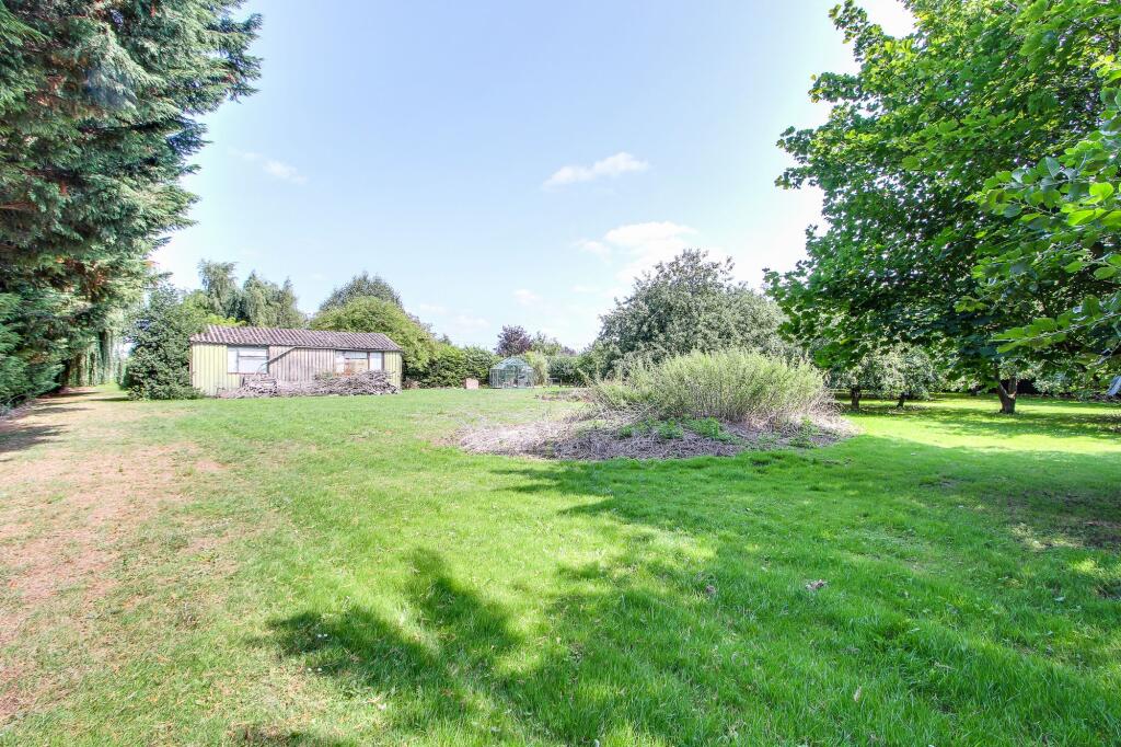 Orchard &amp; Open Grassed Area