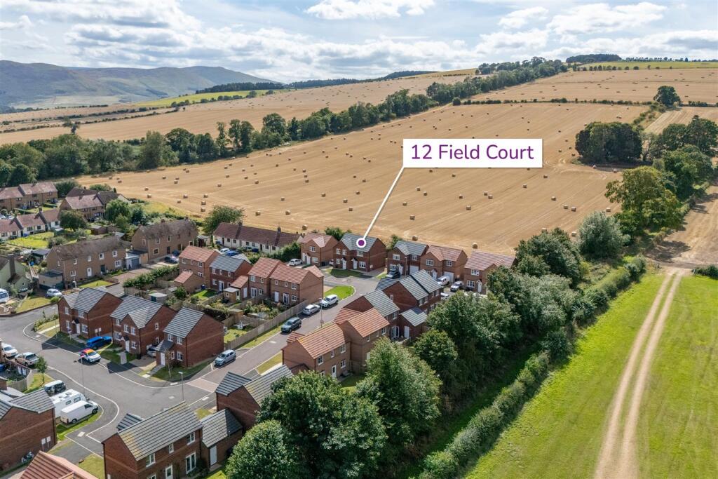 12_field_court-02.jpg