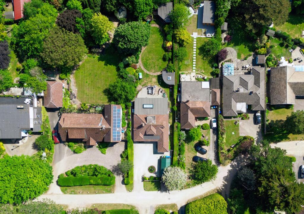 DQyeXzac