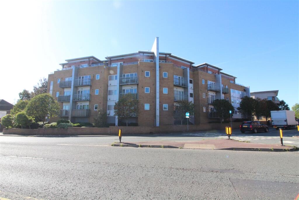 IMG 6719  Medium  T202509261154.jpg