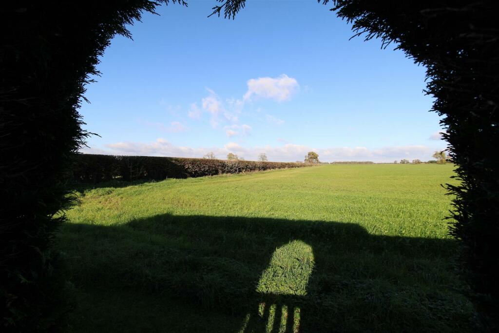 Field Views