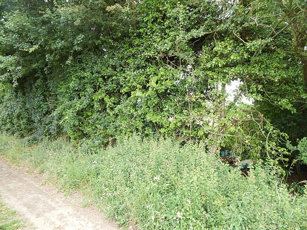 11 T202509241148.jpg
