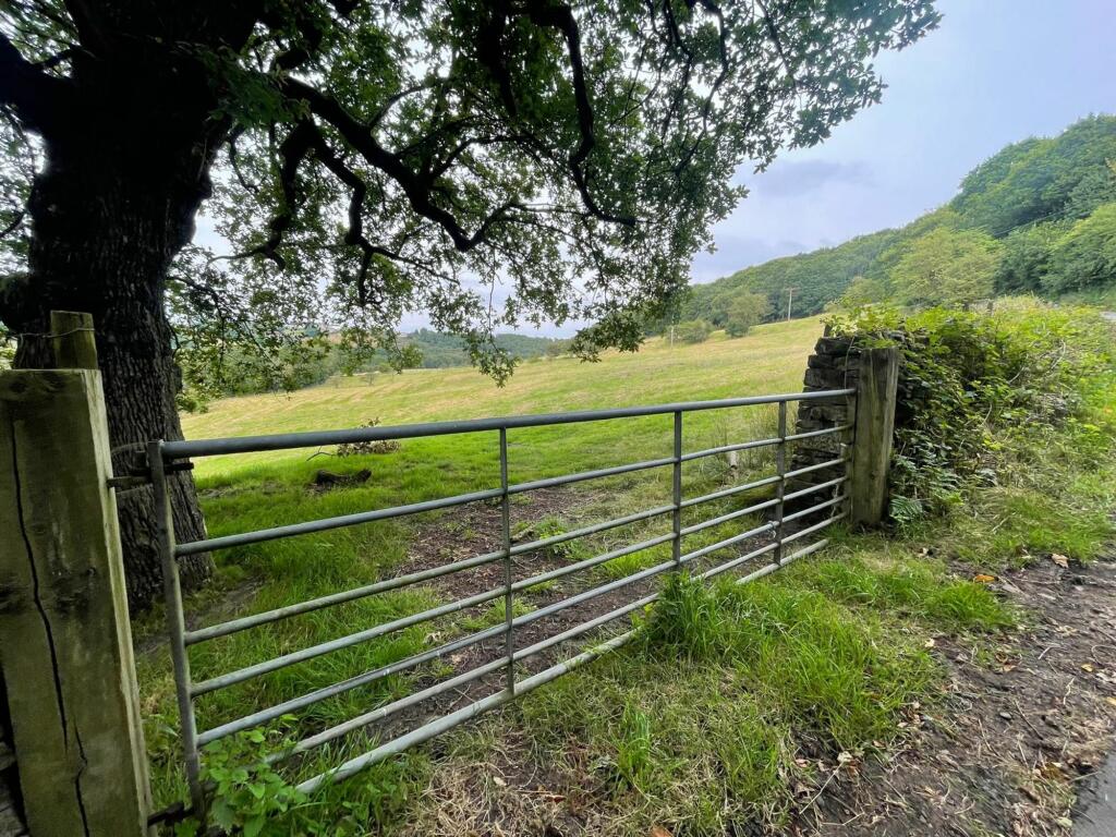 LOT 4