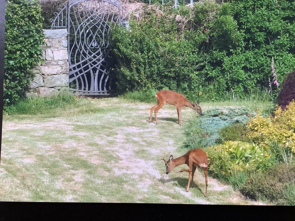 View from Property at Back