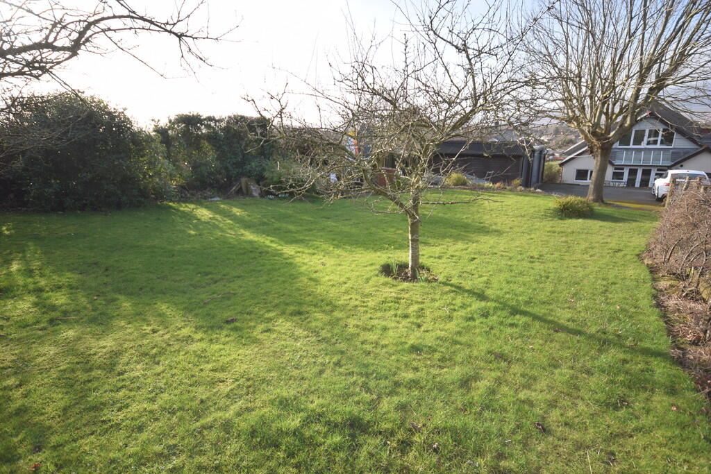 ORCHARD