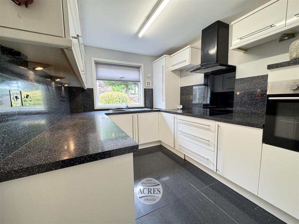 IMG_2459 (Large).jpg