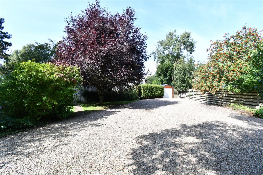 Driveway
