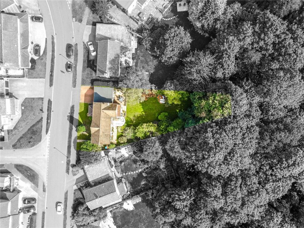 Birdseye View