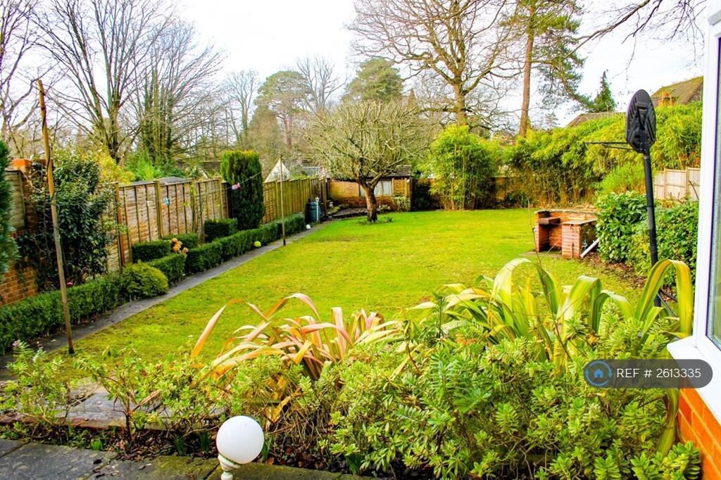 Back Garden