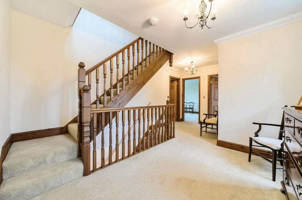 6703e506d4351-l-1194352 (22)