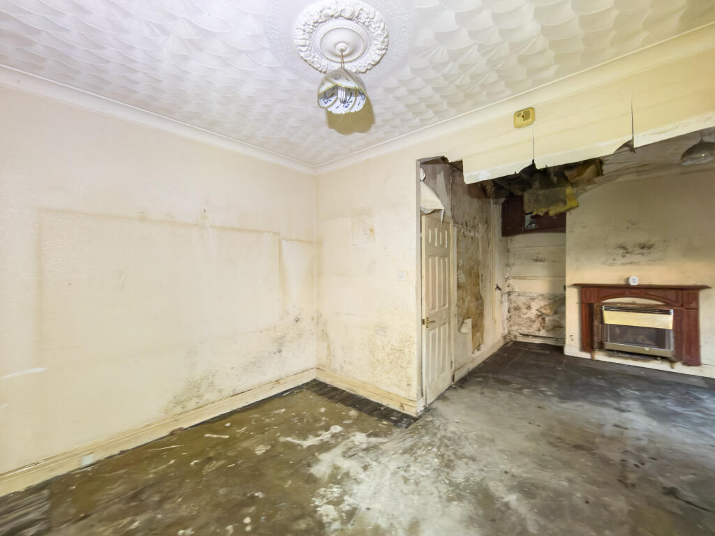 IMG 9313 T202512121005.jpg