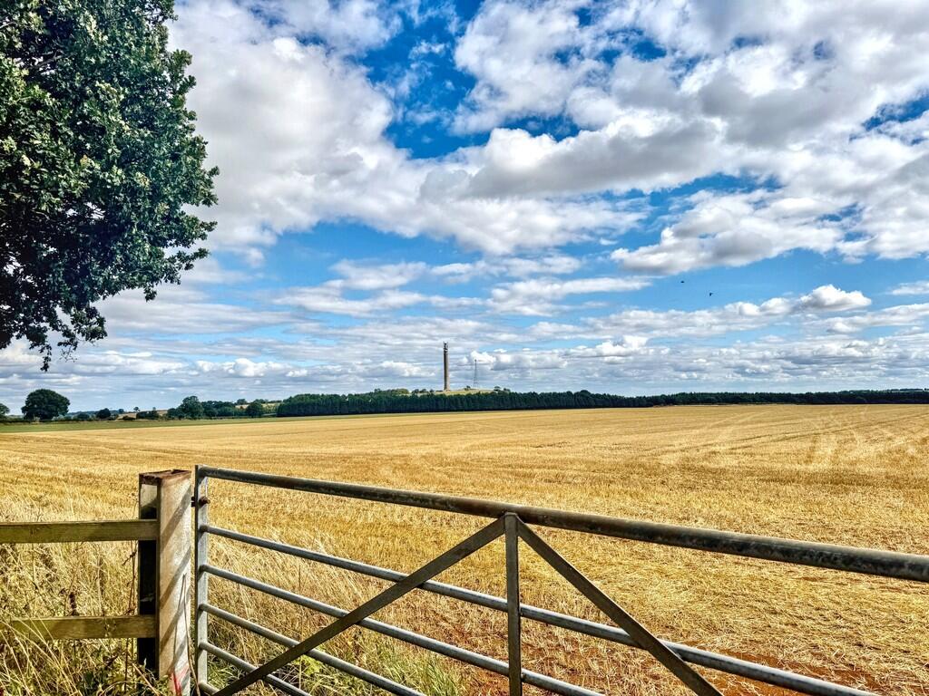 Surrounding Count...