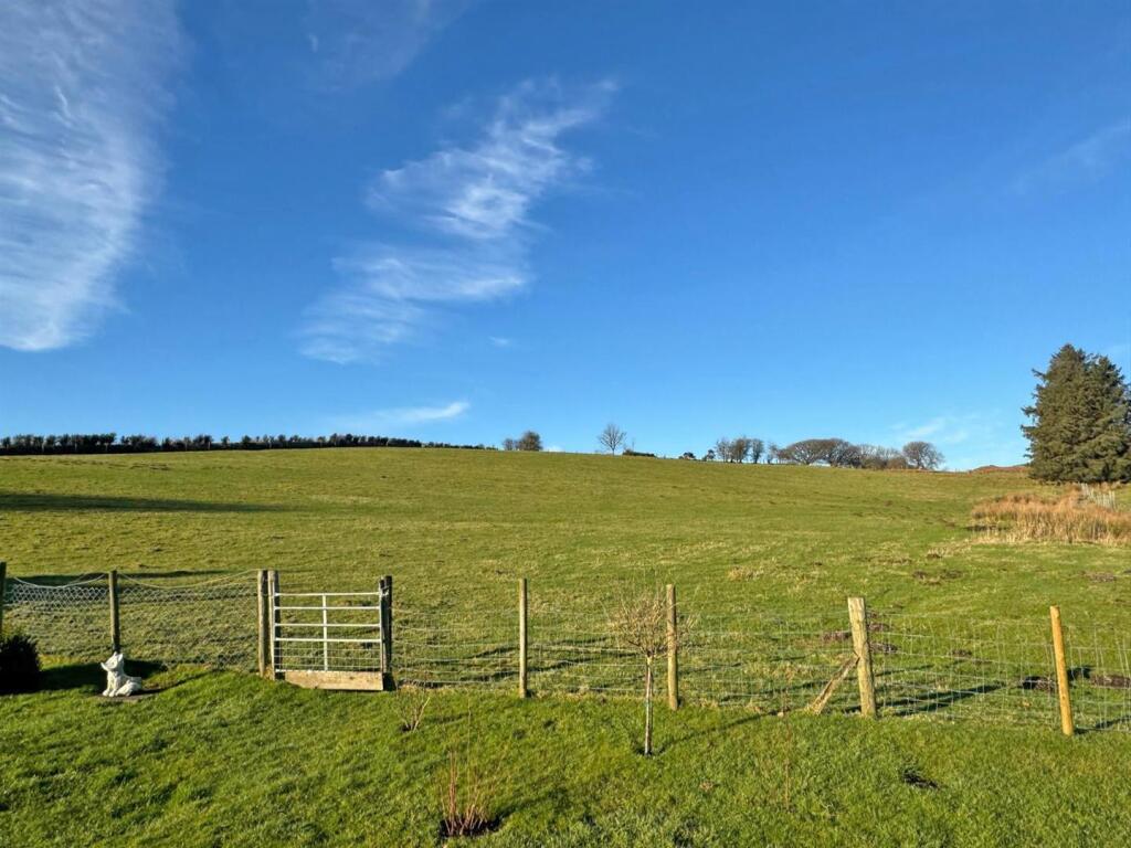 Nantwen field.jpg
