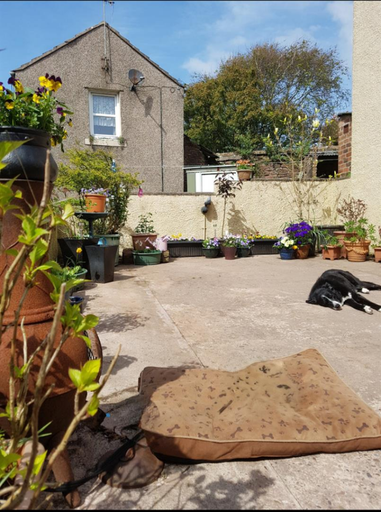 CURRENT OWNERS PHOTOS