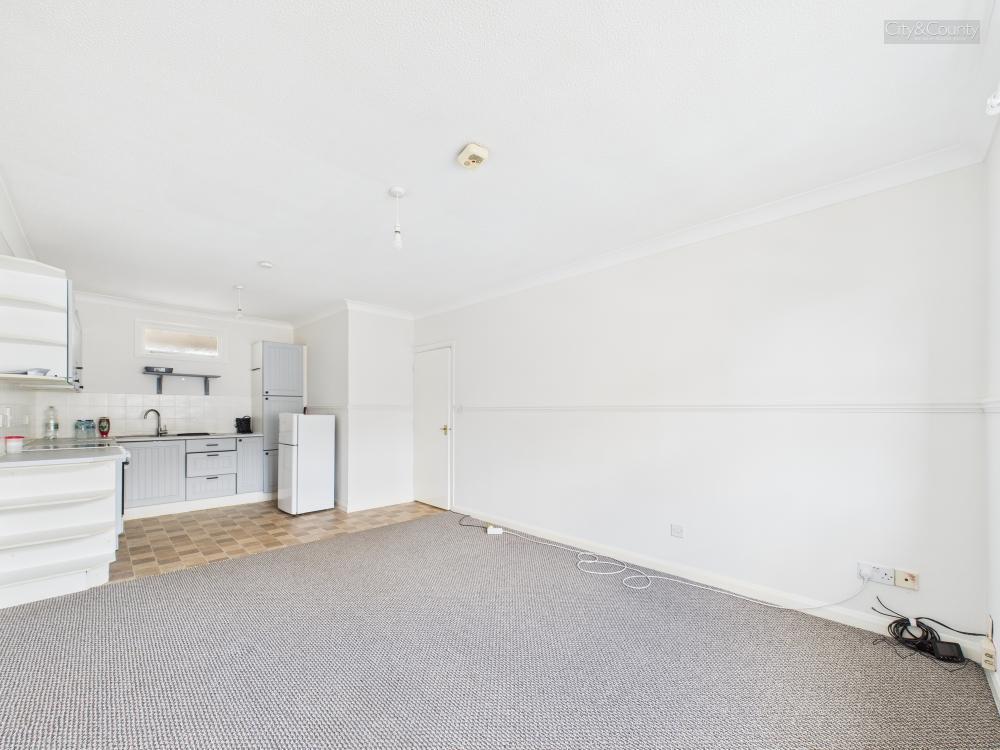 Kitchen/Living/Dining Area