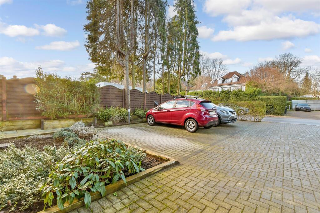 Driveway/Parking