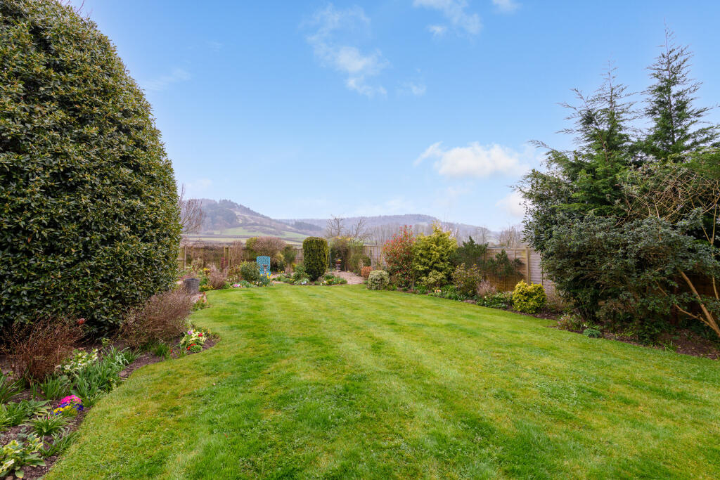 TEK HiRes 250324 028