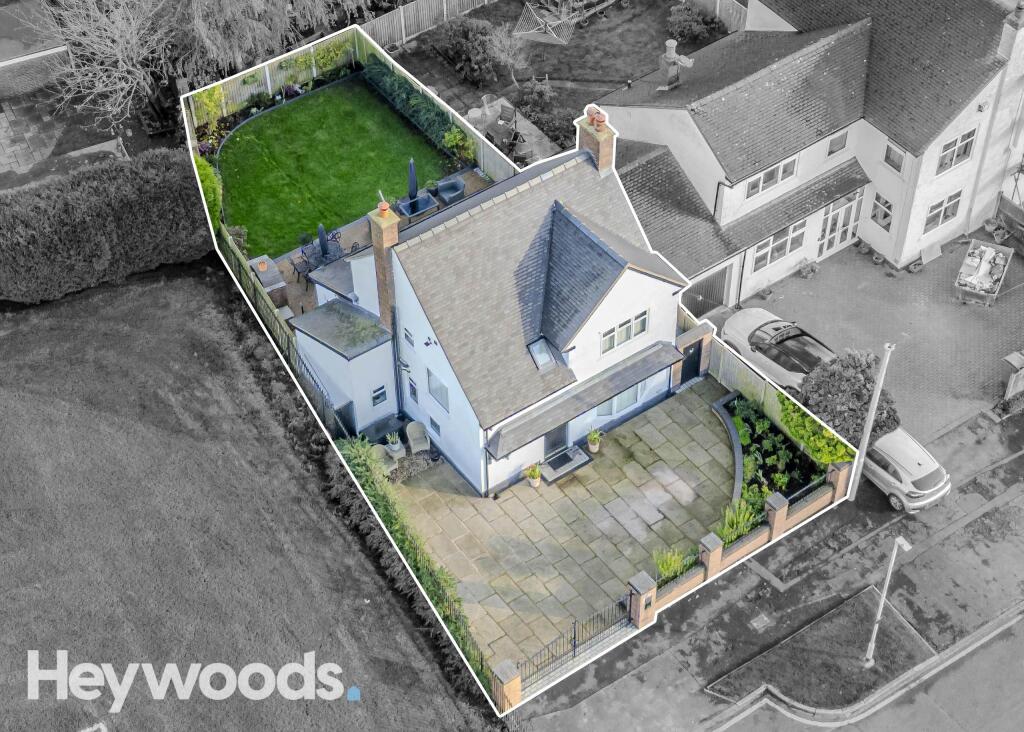 20241114-DJI_0223-Enhanced-SR - Copy