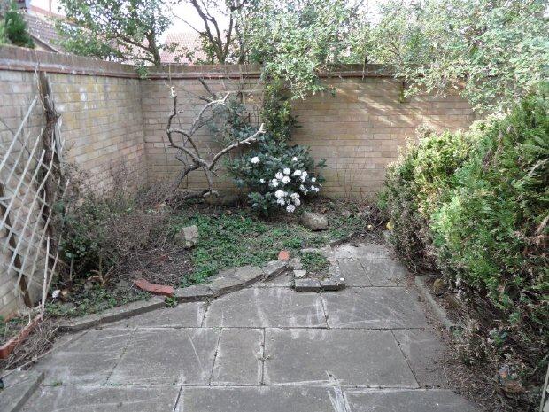 Courtyard Garden
