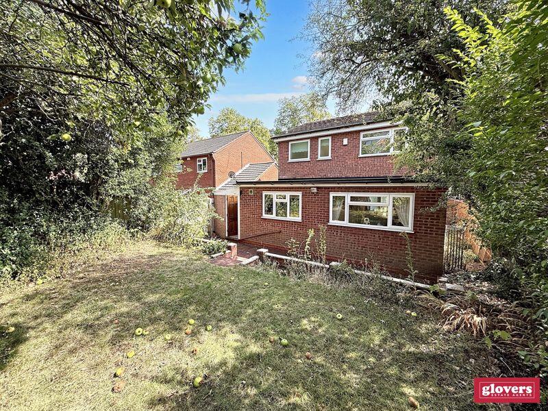 BACK GARDEN