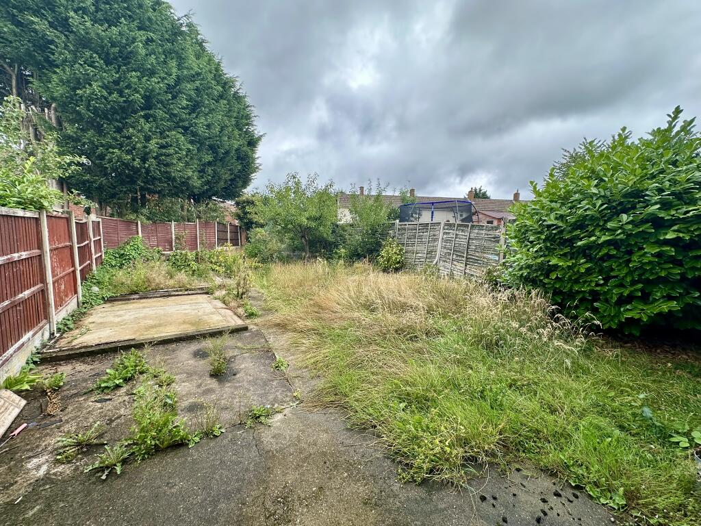 IMG 3024 T202507301131.jpeg