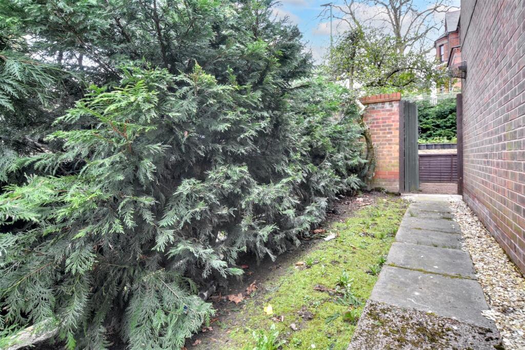 Side Garden_.jpeg