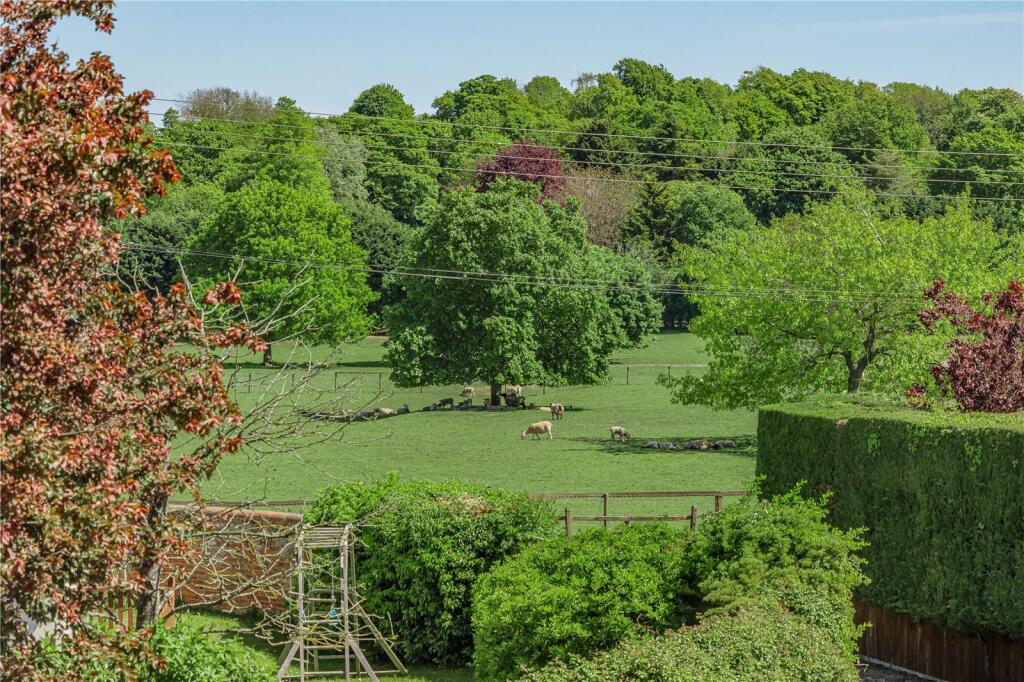 Meadow View