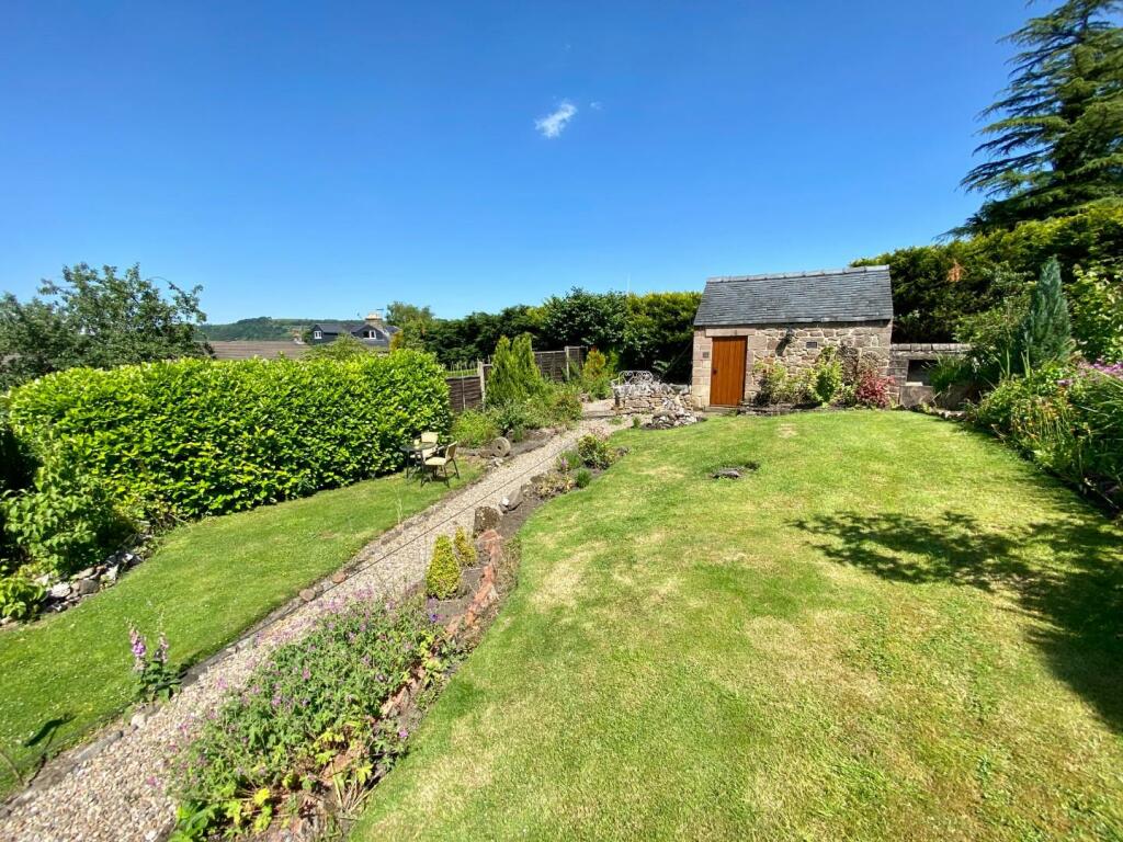 IMG_1239.jpg